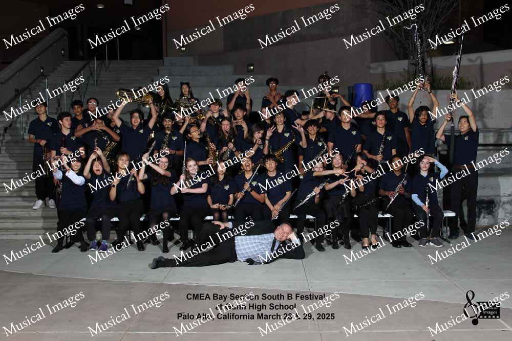 Musical Images